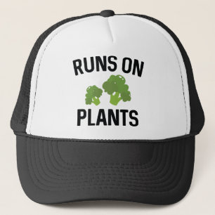 Boné Funcionamentos em plantas
