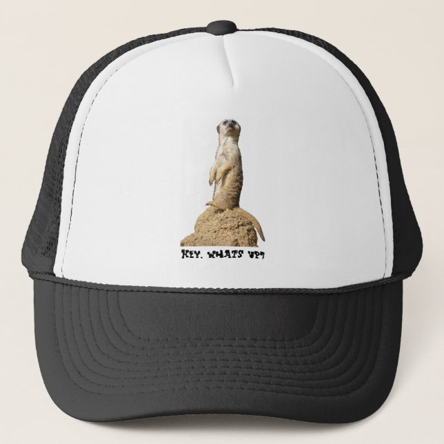 Boné Funny Meerkat Standing Up Hat (Frente)