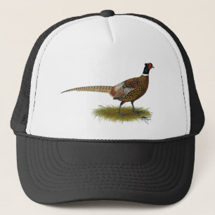 Boné Galo do faisão