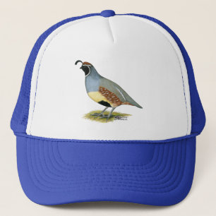 Boné Gambel's Desert Quail