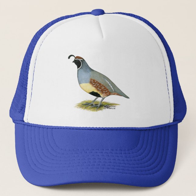 Boné Gambel's Desert Quail (Frente)