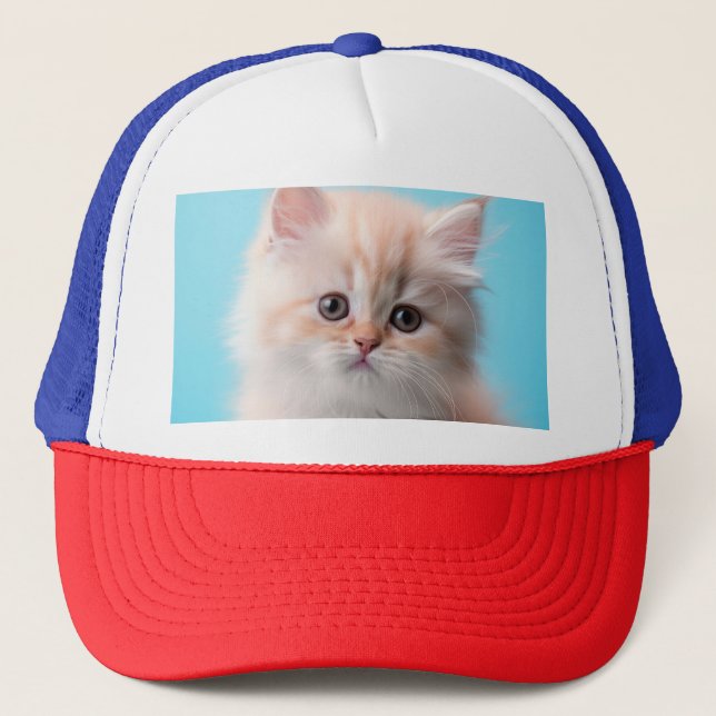 Boné Gatinho Adorável com Fundo Azul (Frente)