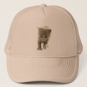 Boné gatinho bonito