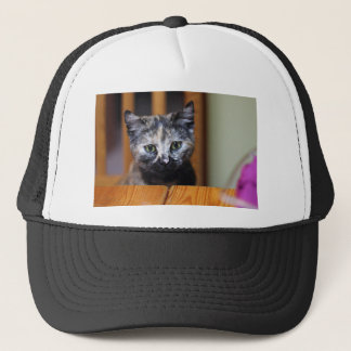 Boné Gatinho branco e preto