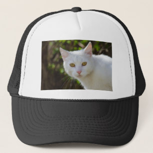 Boné Gato Branco lindo