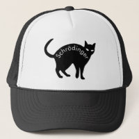 Gato de Schrödinger