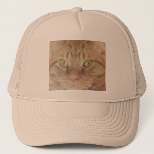 Boné Gato de Tabby Laranja