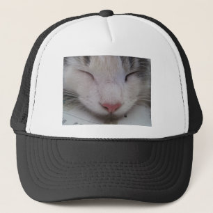 Boné Gato Dormindo