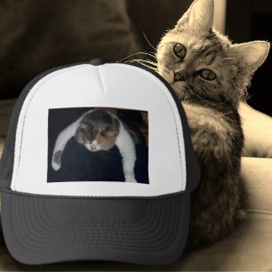 Boné Gato Dormindo no Pão.