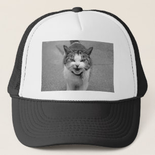 Boné Gato Irritado