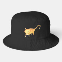 Gato Laranja Apático Fofo
