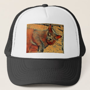 Boné Gato Misterioso
