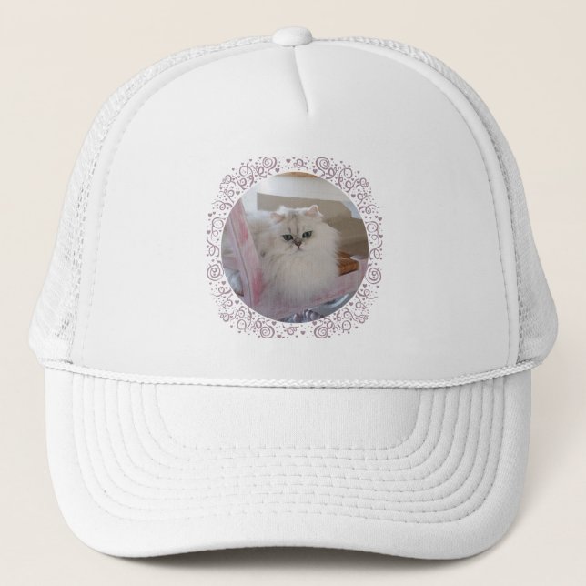 Boné Gato Persa Branco em uma Cadeira Rosa (Frente)