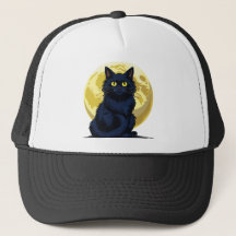 Gato preto zangado