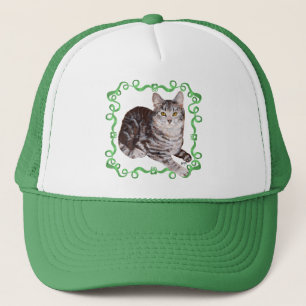 Boné Gato Tabby American Shorthair