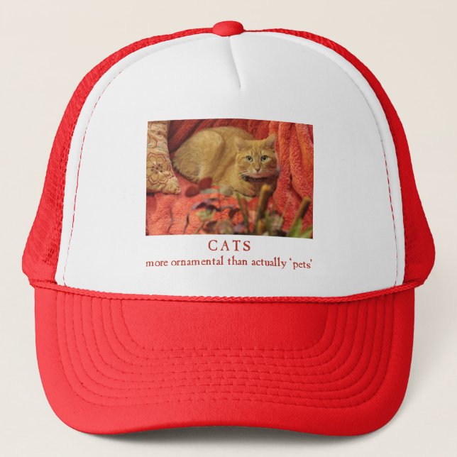 Boné Gatos são ornamentais (Frente)
