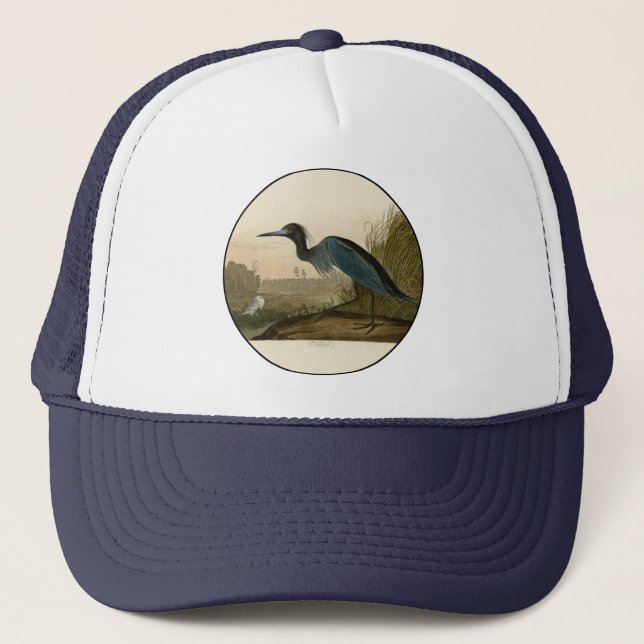 Boné Gaveta Garça Azul Audubon Impressão Arte Costeira (Frente)