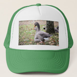 Boné Geese