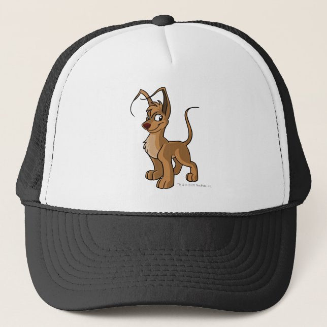 Boné Gelert Brown (Frente)