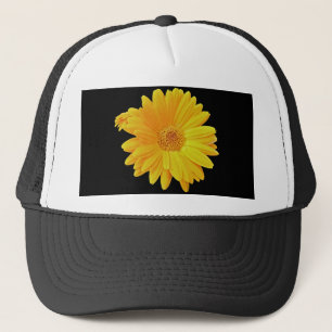 Boné Gerbera Daisy (Gerbera hybrida) - Amarelo