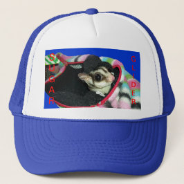 Boné Glider de Açúcar Vestindo Chapéu