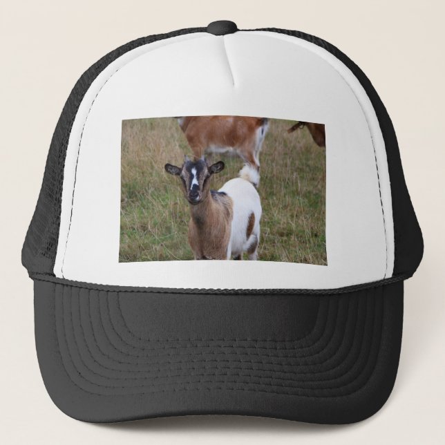Boné Goat in a field (Frente)