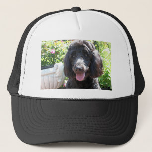 Boné GoldenDoodle Abby 1