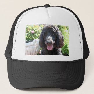 Boné GoldenDoodle Abby 1