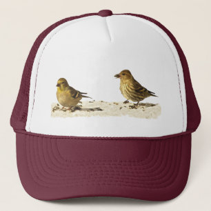 Boné Goldfinch e pinho Siskin