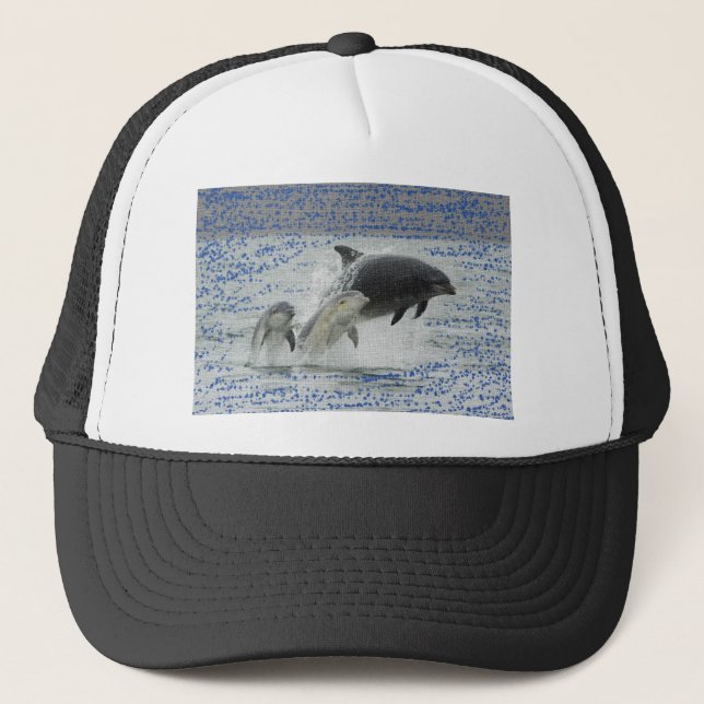 Boné Golfinhos (Frente)