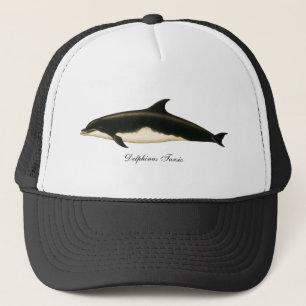 Boné Golfinhos Delphinus Tursio, Animais Marinhos Antig