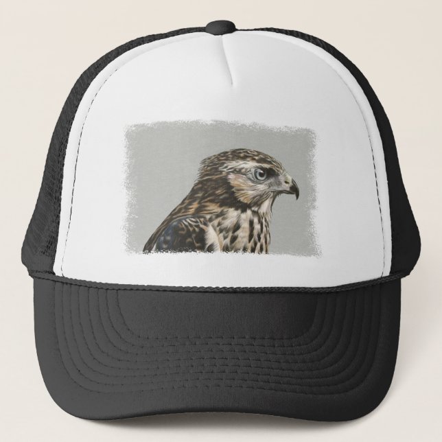 Boné Goshawk imaturo (Frente)