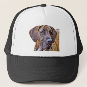 Boné Great dane