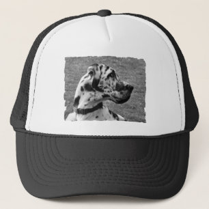 BONÉ GREAT DANE