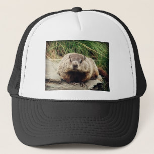 Boné Groundhog