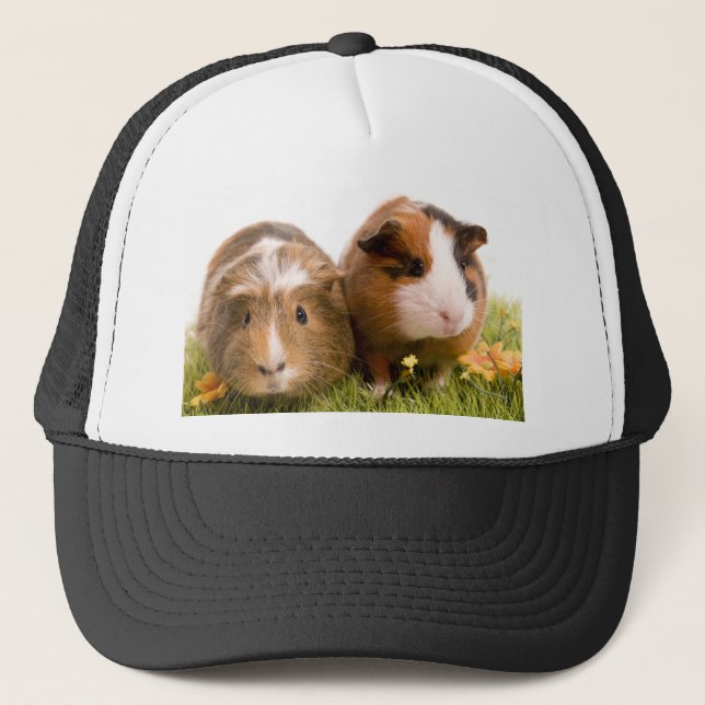 Boné guinea pigs tem-se lawn (Frente)