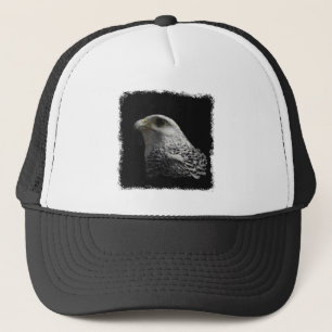 Boné Gyrfalcon Ártico