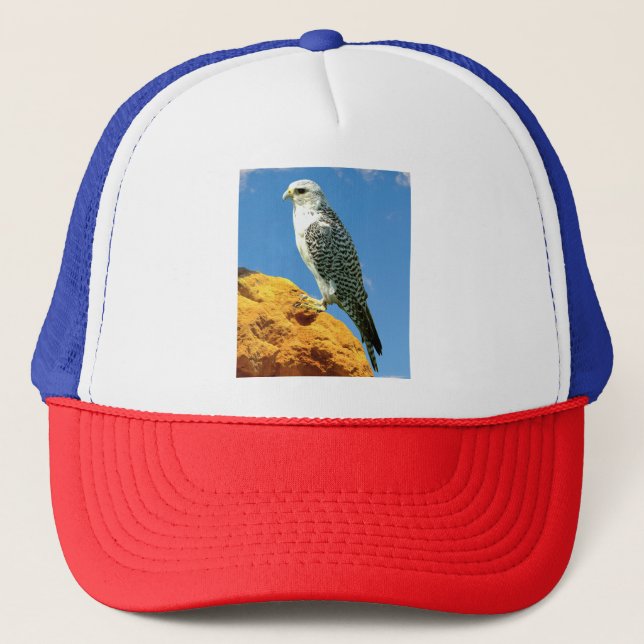 Boné Gyrfalcon emperrado numa pedra (Frente)