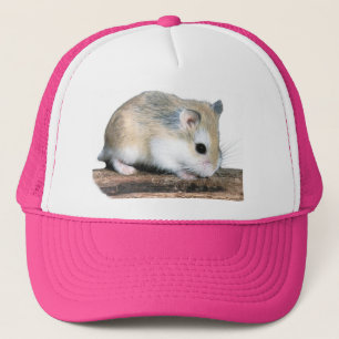 Boné Hammy o hamster