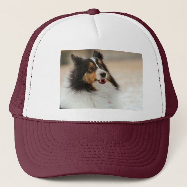 Boné Happy Shelty T-Shirt (Frente)