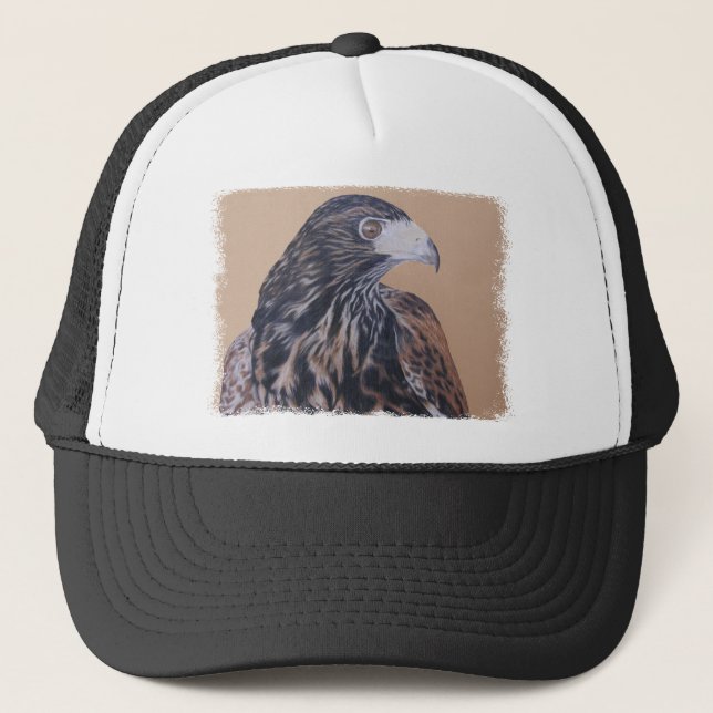 Boné Harris Hawk imaturo (Frente)
