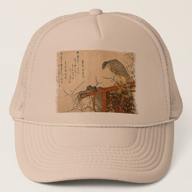 Boné Hawk em Screen Perch (Frente)