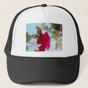Boné Heavenly Bloom: Um Rosa Contra o Céu
