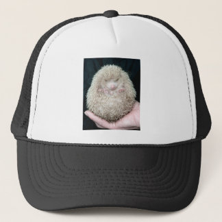 Boné Hedgehog