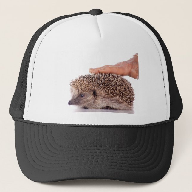 Boné Hedgehog, (Frente)