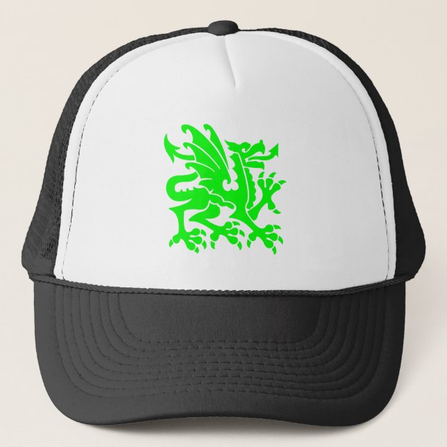 Boné Heraldic Dragon 01 - Verde (Frente)