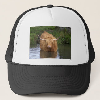 Boné Highland Cattle