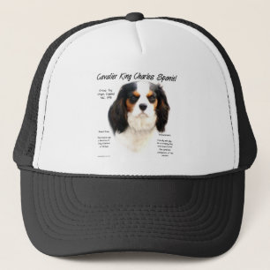 Boné História do Cavaleiro Rei Charles Spaniel (tricolo