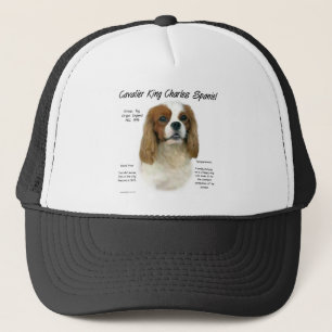 Boné História do Cavalier King Charles Spaniel (Blenhei