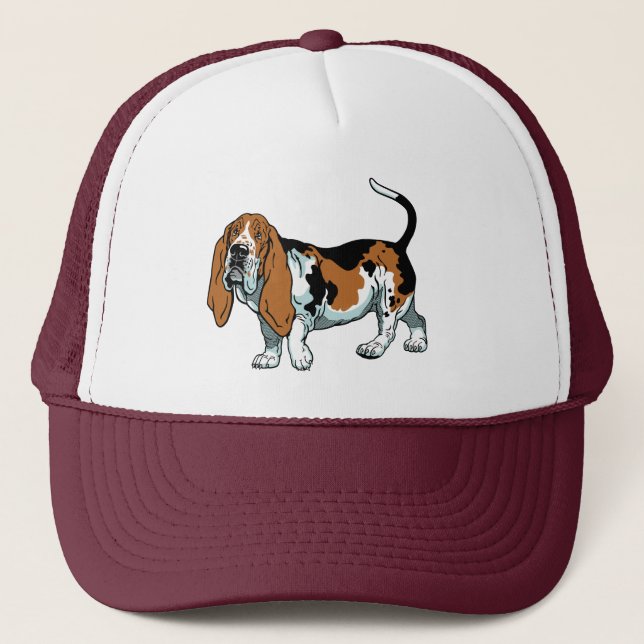 Boné hound basset (Frente)